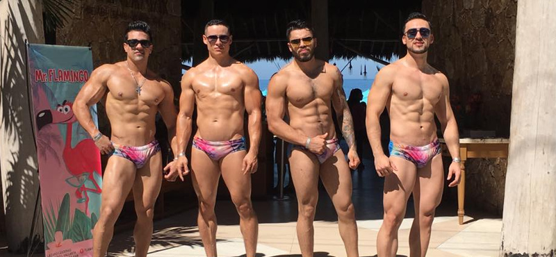 gay disney cruise gay camping clipz